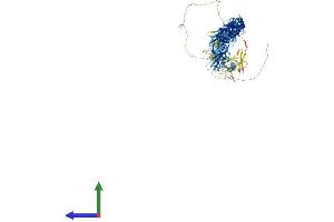 AlphaFold protein structure predicition of Human Recombinant FNDC3A Protein, UniprotID Q9Y2H6