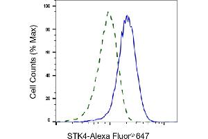 Flow cytometric analysis of STK4 expression in HepG2 cells using STK4 antibody (ABIN7800314), 1:2,000). (Recombinant STK4 anticorps)