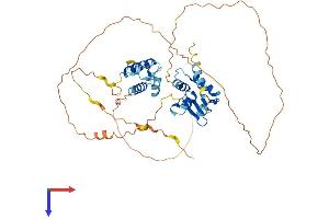 AlphaFold protein structure predicition of Human Recombinant ETV6 Protein, UniprotID P41212
