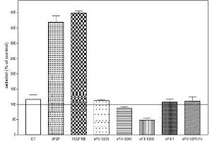 Inhibition of the VEGF165-induced proliferation of HUVECs by recombinant human endogenous sFlt-1 and sFlt-1 constructs.