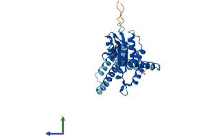 AlphaFold protein structure predicition of Human Recombinant OTUD6B Protein, UniprotID Q8N6M0