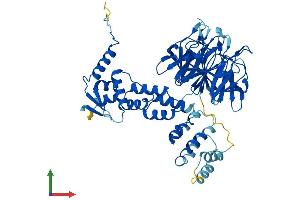 AlphaFold protein structure predicition of Human Recombinant KLHL23 Protein, UniprotID Q8NBE8