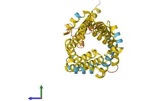 AlphaFold protein structure predicition of Human Recombinant UCP2 Protein, UniprotID P55851