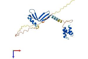 AlphaFold protein structure predicition of Mouse Recombinant Naca Protein, UniprotID Q60817