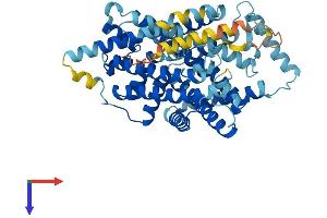 AlphaFold protein structure predicition of Mouse Recombinant Slc7a5 Protein, UniprotID Q9Z127