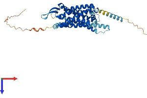 AlphaFold protein structure predicition of Mouse Recombinant Npy2r Protein, UniprotID P97295