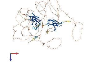 AlphaFold protein structure predicition of Human Recombinant NFATC2 Protein, UniprotID Q13469
