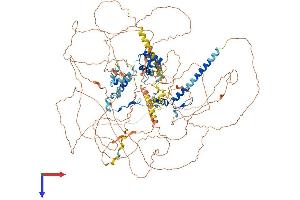 AlphaFold protein structure predicition of Mouse Recombinant Trerf1 Protein, UniprotID Q8BXJ2