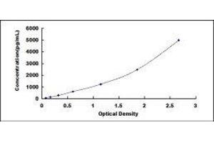 Teratocarcinoma-Derived Growth Factor 1 (TDGF1) ELISA Kit