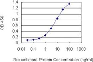 Detection limit for recombinant GST tagged CHAF1A is 0.