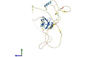 AlphaFold protein structure predicition of Human Recombinant SHF Protein, UniprotID Q7M4L6
