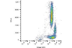Flow cytometry analysis (surface staining) of human peripheral blood using anti-CD44 (MEM-263) FITC conjugate.