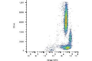 Flow cytometry analysis (surface staining) of human peripheral blood using anti-CD44 (MEM-263) FITC conjugate. (CD44 anticorps  (FITC))
