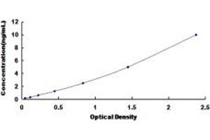 Typical standard curve (ADAM9 Kit ELISA)
