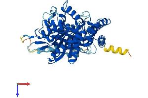 AlphaFold protein structure predicition of Human Recombinant TUBA3E Protein, UniprotID Q6PEY2
