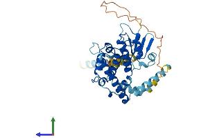 AlphaFold protein structure predicition of Human Recombinant GDAP1L1 Protein, UniprotID Q96MZ0