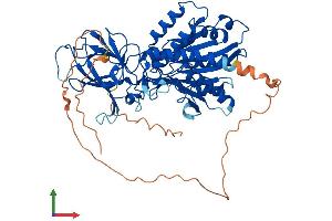 AlphaFold protein structure predicition of Mouse Recombinant Agbl4 Protein, UniprotID Q09LZ8