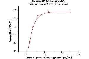 Measured by its binding ability in a functional ELISA.