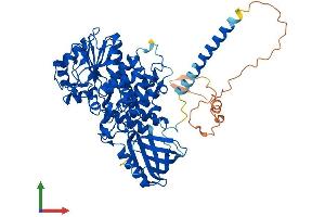 AlphaFold protein structure predicition of Human Recombinant MTMR6 Protein, UniprotID Q9Y217