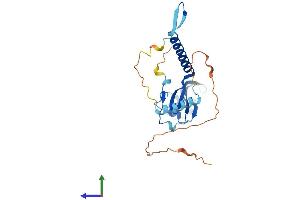 AlphaFold protein structure predicition of Mouse Recombinant Med6 Protein, UniprotID Q921D4