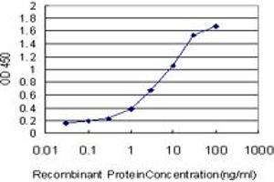 Detection limit for recombinant GST tagged BRAF is approximately 0.