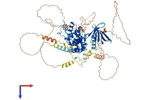 AlphaFold protein structure predicition of Mouse Recombinant Epb41l4a Protein, UniprotID P52963