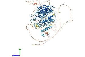 AlphaFold protein structure predicition of Human Recombinant PRDM9 Protein, UniprotID Q9NQV7