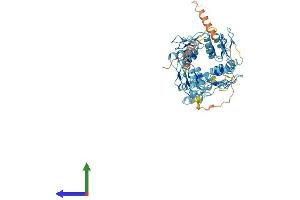 AlphaFold protein structure predicition of Human Recombinant ZNF90 Protein, UniprotID Q03938