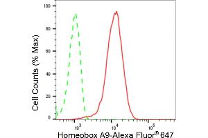 Flow cytometric analysis of Homeobox A9 expression in HepG2 cells using Homeobox A9 antibody (ABIN7798991), 1:2,000). (Recombinant HOXA9 anticorps)