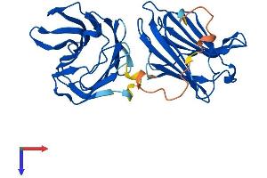 AlphaFold protein structure predicition of Human Recombinant LGALS8 Protein, UniprotID O00214