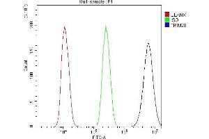 anti-Tripartite Motif Containing 28 (TRIM28) (AA 699-835) antibody