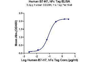 Immobilized Human CD28H, His Tag at 5 μg/mL (100 μL/well) on the plate.