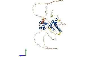 AlphaFold protein structure predicition of Human Recombinant POU4F2 Protein, UniprotID Q12837
