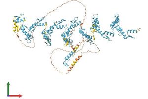 AlphaFold protein structure predicition of Human Recombinant ZNF808 Protein, UniprotID Q8N4W9
