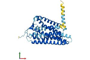 AlphaFold protein structure predicition of Mouse Recombinant Or51e2 Protein, UniprotID Q8VBV9