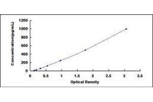 ELISA image for Chemokine (C-X-C Motif) Ligand 10 (CXCL10) ELISA Kit (ABIN414191)