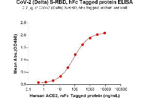 ELISA plate pre-coated by 2 μg/mL (100 μL/well) SARS-CoV-2 (Delta) S protein RBD , hFc Tag (ABIN7455412, ABIN7490657 and ABIN7490659) can bind Human Protein, mFc Tag ABIN6961130, ABIN7042289 and ABIN7042290 in a linear range of 4.