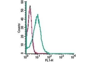 Cell surface detection of ASCT2 in live intact human HL-60 promyelocytic leukemia cells: (black line) Cells.
