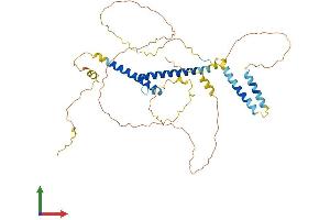 AlphaFold protein structure predicition of Mouse Recombinant Bhlhe40 Protein, UniprotID O35185