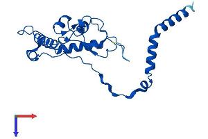 AlphaFold protein structure predicition of Mouse Recombinant Rpl13 Protein, UniprotID P47963