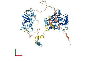 AlphaFold protein structure predicition of Mouse Recombinant Fam111a Protein, UniprotID Q9D2L9