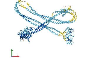 AlphaFold protein structure predicition of Human Recombinant SMC1A Protein, UniprotID Q14683