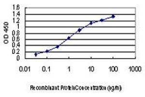 Detection limit for recombinant GST tagged MAPK13 is approximately 0.