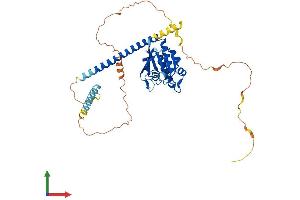 AlphaFold protein structure predicition of Human Recombinant ARL13B Protein, UniprotID Q3SXY8