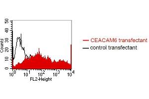 FACS analysis of BOSC23 cells using MUS. (CEACAM5/6 anticorps)