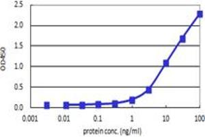 Sandwich ELISA detection sensitivity ranging from 0. (T (Humain) Matched Antibody Pair)