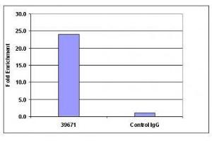 Histone H4 trimethyl Lys20 mAb (Clone 6F8-D9) tested by ChIP.