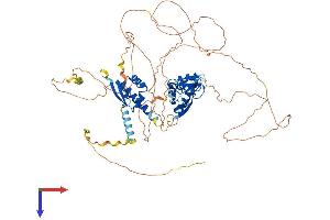 AlphaFold protein structure predicition of Human Recombinant MEX3D Protein, UniprotID Q86XN8