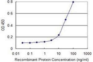 Detection limit for recombinant GST tagged CENPV is 1 ng/ml as a capture antibody.