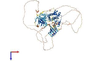AlphaFold protein structure predicition of Human Recombinant BRSK1 Protein, UniprotID Q8TDC3
